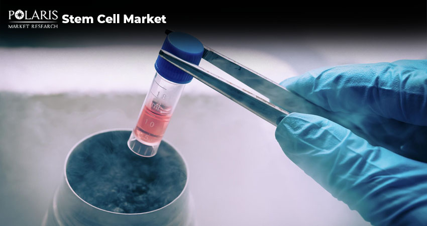 Top 10 Companies in the Stem Cell Market in Global Market 2025